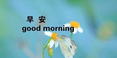 揭秘高赞早安句子的美学之道（揭秘高赞早安句子的美学之道）