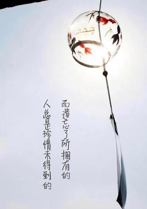 心灵的飞翔（励志哲理之路）