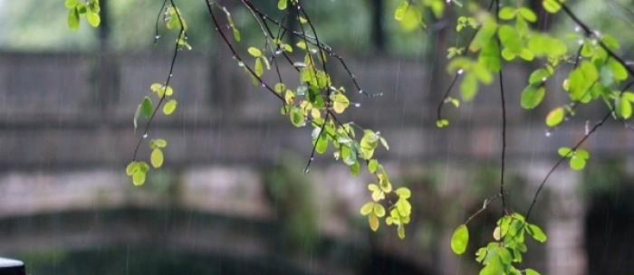 以一场秋雨为题，描绘唯美伤感（以一场秋雨为题）