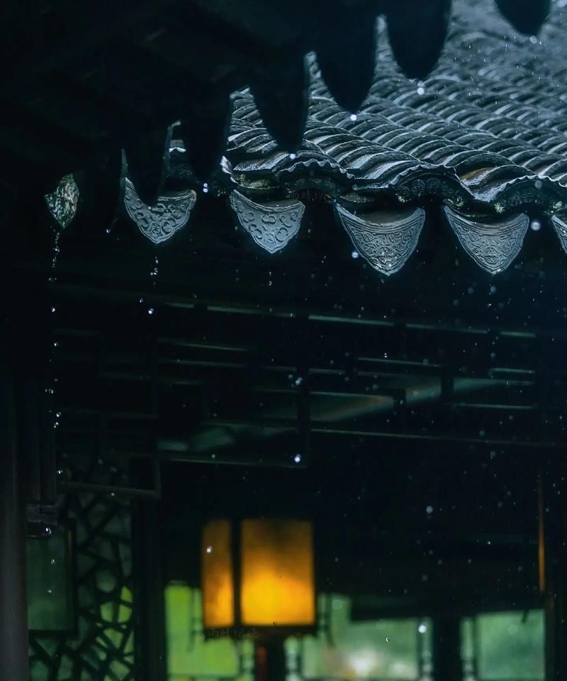 秋雨下，心生凉意（那一份萧瑟）