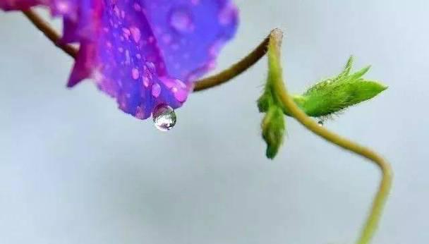 秋雨·清凉（一场秋雨）