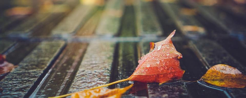 秋雨凉意，思念涌上心头（一场秋雨带来的回忆与思念）