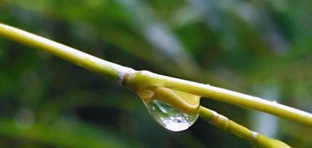 秋雨寒意，怀念过往（唤醒心底的温柔）