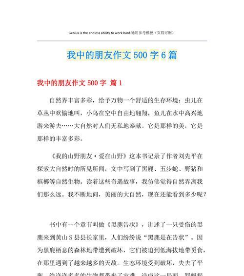 我和朋友的故事：相互陪伴