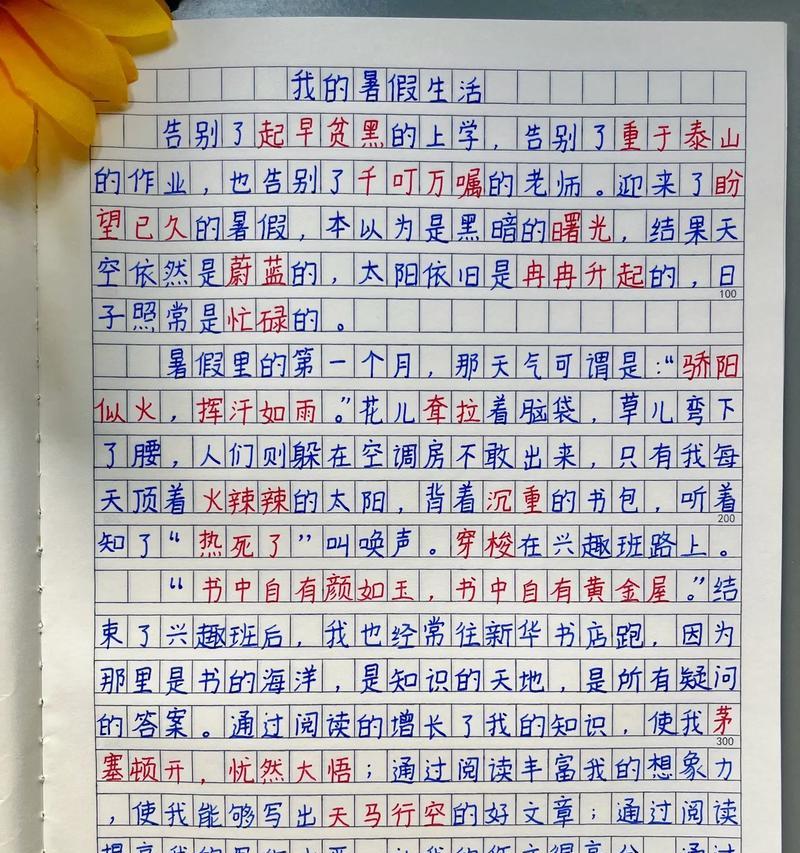 夏日冒险记（一个小学生的暑假故事）