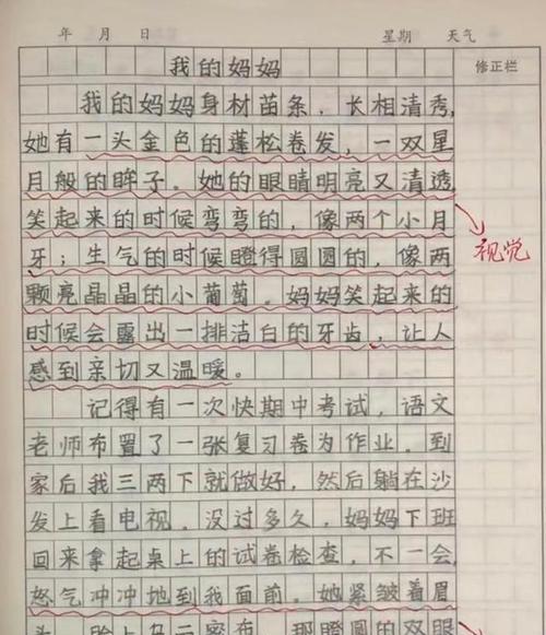 生活需要的味道（一碗饭）