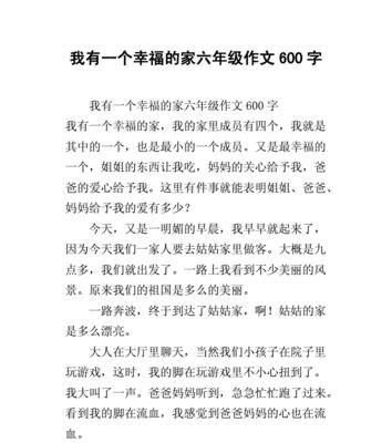 一家人的快乐时光（一家人的快乐时光）