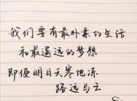 奋斗不息，拥抱未来（以唯美短句）