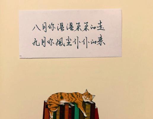 八月诗意：缤纷夏日的迷人色彩