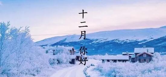 冬意渐浓，十二月的美丽瞬间（漫步枫林）