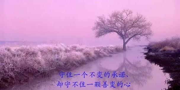 信任，让我们走得更远（信任）