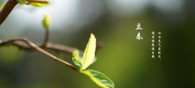 《春意盎然，花开满园》（用2024立春节气的好句表达对生命的感悟）