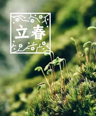 2024年立春，春暖花开（万物复苏）