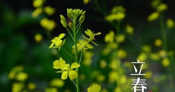 迎接温暖的春天，感受生命的气息（迎接温暖的春天）