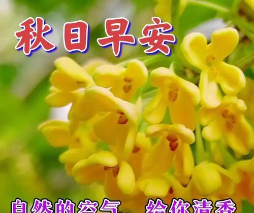 新春祝福：唯美短句荟萃
