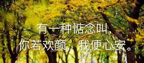 迎接2024立春，唯美短句走进生活（用最美的文字）
