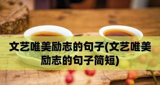 新年励志唯美短句子（梦想不止步）