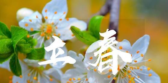 《立春心情》