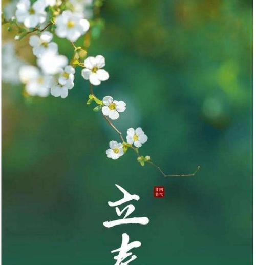 2024立春迎春祝福——春暖花开