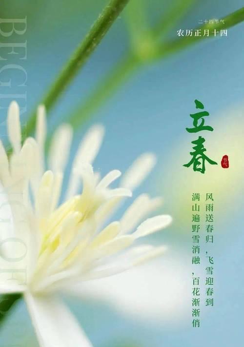 春暖花开，万象更新——以2024立春祝福语说说为主题的唯美短句（祈福明年）