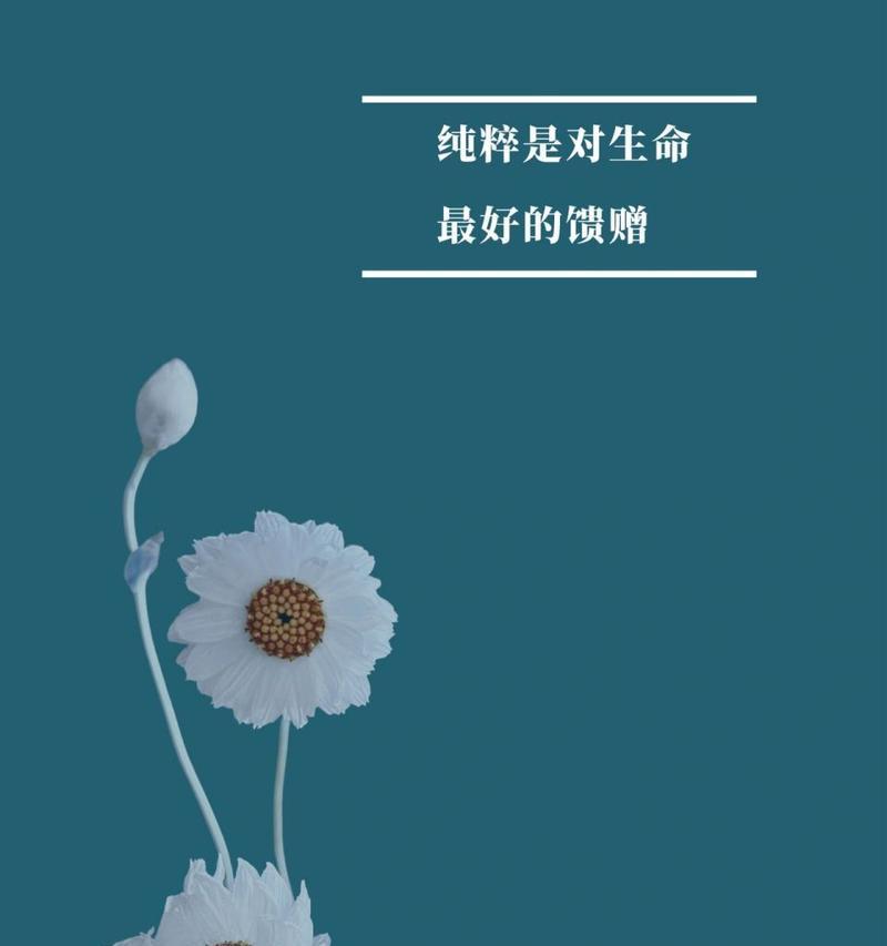 沉醉于文字之美（沉醉于文字之美）
