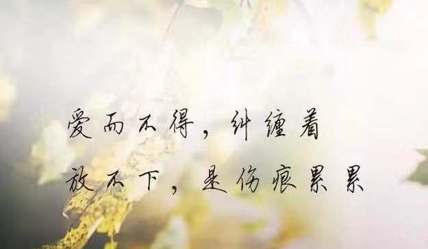 唯美句子尽情展现心情（唯美句子尽情展现心情）