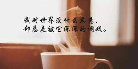 心情好时的美丽世界（以唯美句摘抄）
