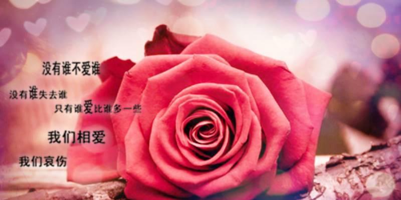 心情美好的25个瞬间（一起分享快乐）
