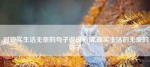 哀伤之境（哀伤之境）