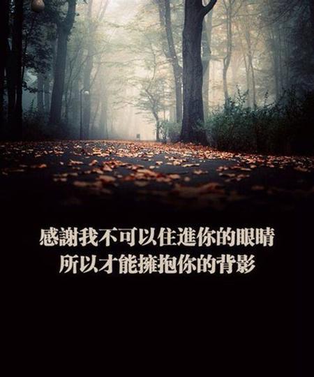 一篇唯美短句集（一篇唯美短句集）