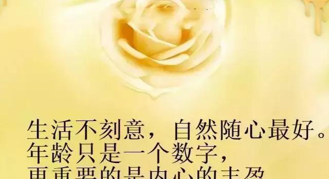 《心情的美丽》