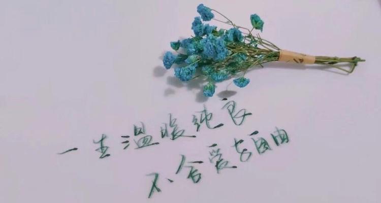 2.在这个喧嚣的世界里，文字是我内心最深处的感受。