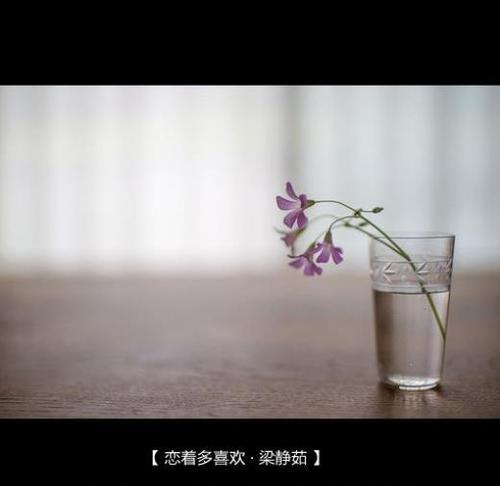心情低落时，一句话倾诉（唯美的短句表达内心）