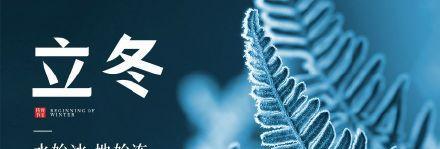 《冬季的宁静》——以2024立冬发朋友圈