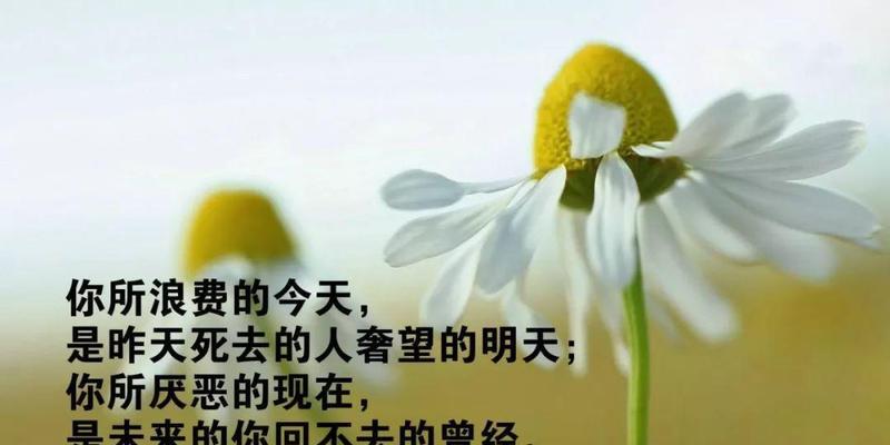 迷惑心灵的诗意世界（探寻心理学的奥秘）