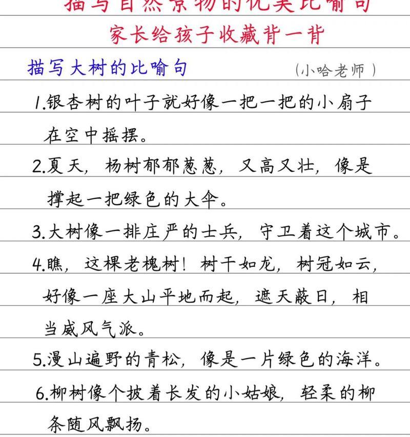 《美丽的自然风光》