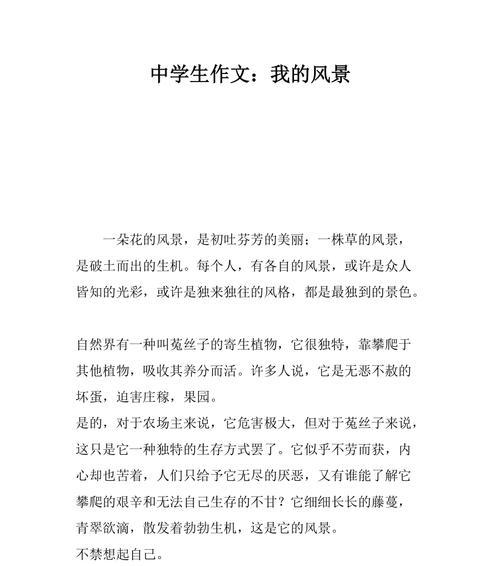 寻找美的旅程（寻找美的旅程）