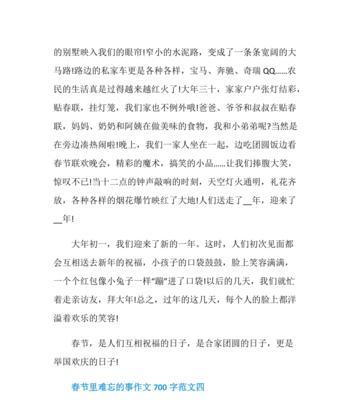 难忘的春节（团圆）
