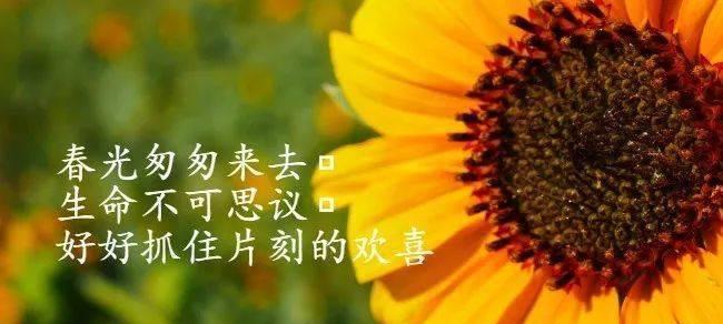 九月初心情说说，唯美短句描绘心情（迎接九月的蓝色天空与柔和阳光）