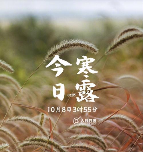 秋风送爽，祝福满心——寒露节气朋友圈祝福语（用一句话）