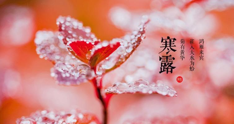 《寒露，秋意渐浓》