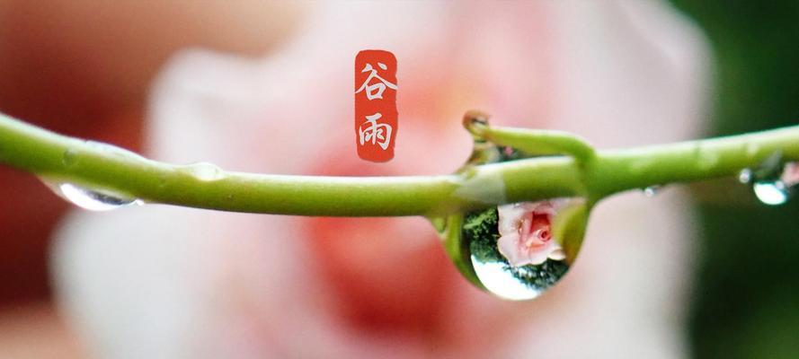 探寻大自然的美妙，用心感受谷雨的气息（探寻大自然的美妙）