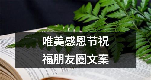 “用心感受，珍惜当下”（“用心感受）