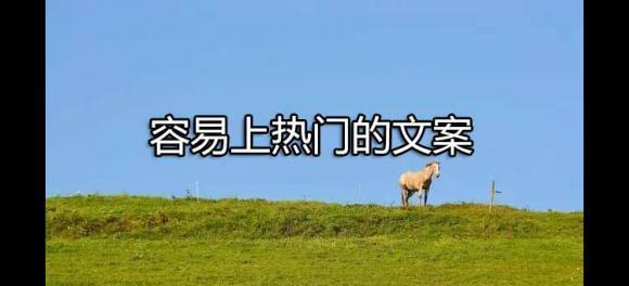 自拍幽默短句大赏（以唯美短句点亮你的自拍照片）