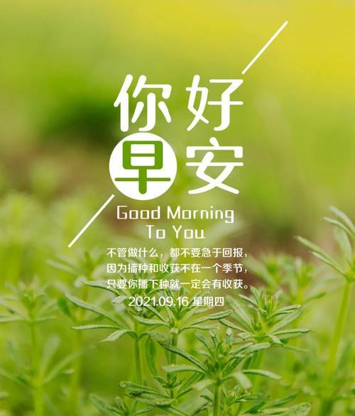 清晨的阳光透过窗户，轻柔地拂过我的脸颊，我醒来了。