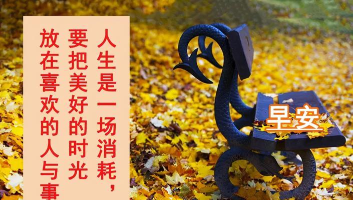 温暖早晨，心动一日（25句早安暖心句子）