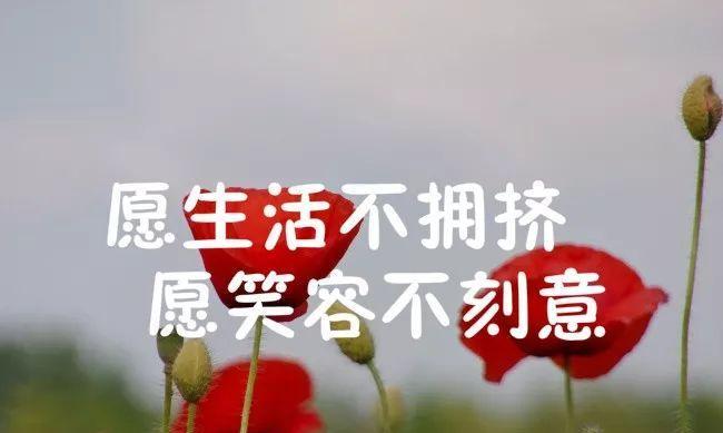 《流年逝水》