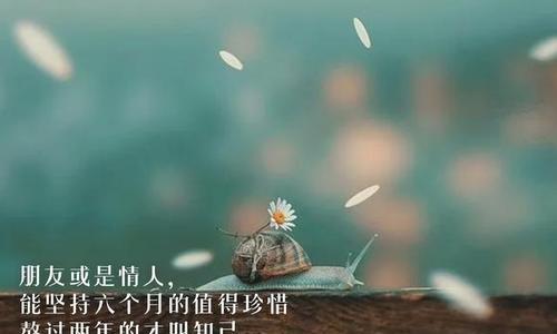 用心种下的每一个感恩，都是花开的滋味（用心种下的每一个感恩）