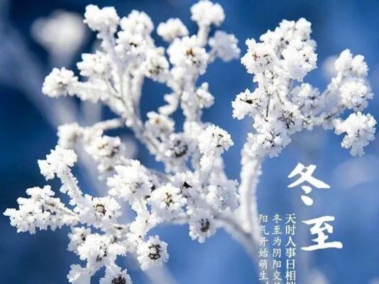 传递温暖，留住感动（传递温暖）