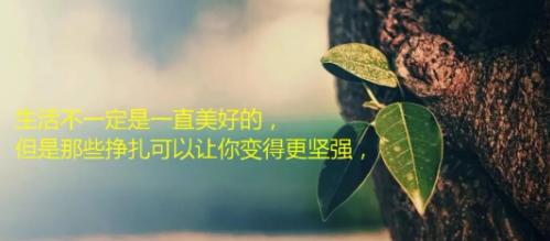冬之韵——享受寒冷，感受美好（冬之韵——享受寒冷）